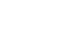 Champion Horse Boxes White LOGO White TEXT